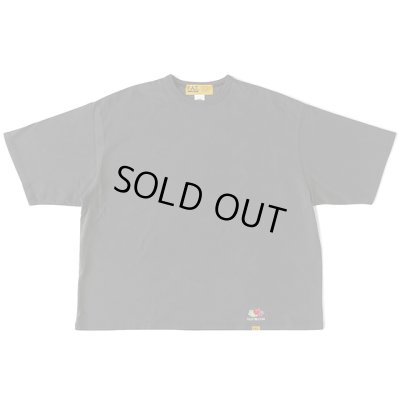 画像1: FAT｜FRUITMENTee Tシャツ｜C.GRAY