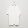 画像3: BOUNCE ORIGINAL｜ "SANCA&NUCCA" S/S TEE｜WHITE (3)
