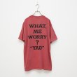 画像2: BOUNCE ORIGINAL｜ "YAD" S/S TEE｜CRANBERRY (2)
