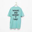 画像3: BOUNCE ORIGINAL｜ "YAD" S/S TEE｜MINT (3)